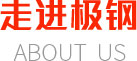 關于極鋼
